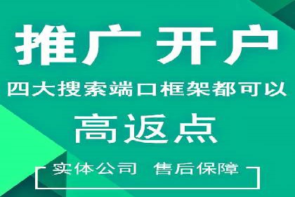大型SEM服务公司案例分析